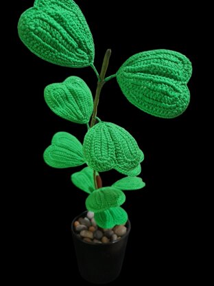 Crochet Sweetheart Hoya plant