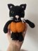 Pumpkin kitty
