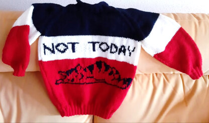 Not Today Child Sweater