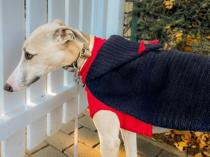 Doggo no 20 Cape