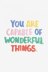 DMC You Are Capable of Wonderful Things - PAT1183S - Downloadable PDF