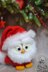 323 Santa Little Owl