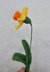 Springtime Flower Posy PDF Knitting Pattern Daffodil Forget-me-not Tulip Cosmos Bluebell