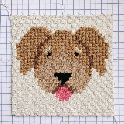 C2C Doodle Dog Blanket Square