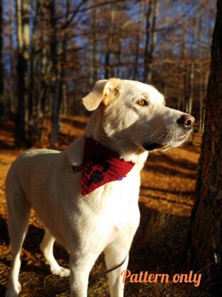 Dog paw bandana