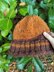 Cozy Hat