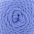 Cornflower (1045)