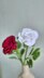 Rose hybrid bud