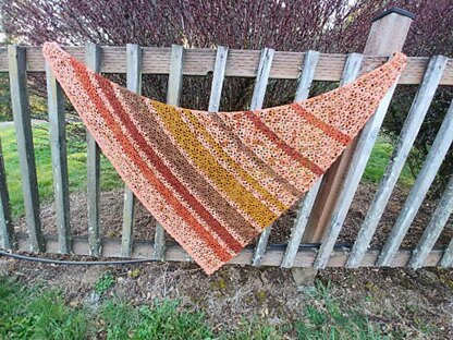 Ned's Dye-Pot Shawl