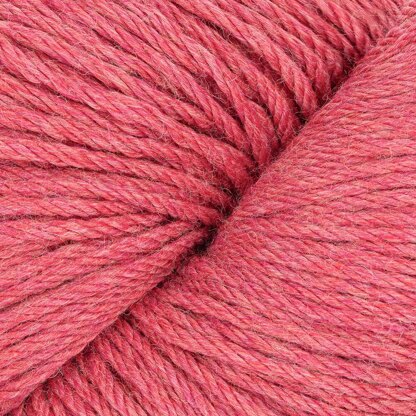 Rhubarb (61194)