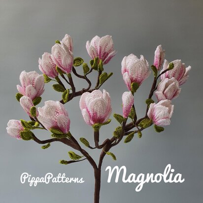 Magnolia