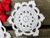 Snow White Coaster Written Pattern