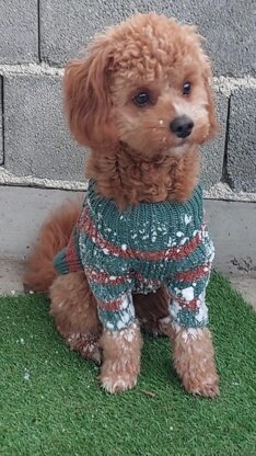 Dog Sweater Charlie No.2