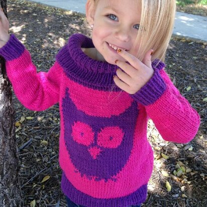 Owl Cowl Sweater