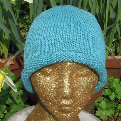 Simple Roll Brim Beanie