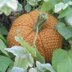 Seed Stitch Pumpkin