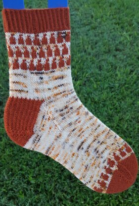 Pumpkin Patch Socks