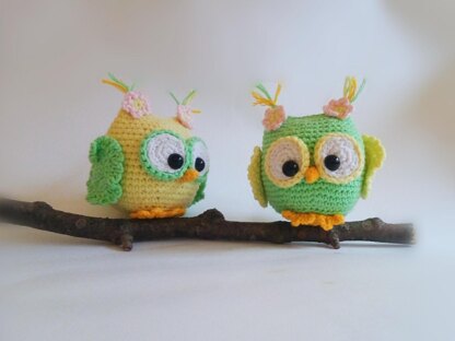 Spring Owl