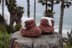 Ugg Style Baby Bootie