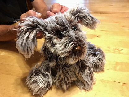 Miniature wirehaired pointing griffon