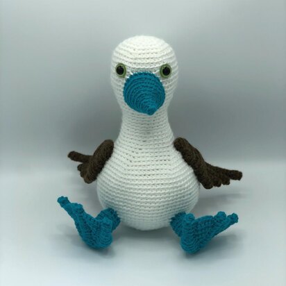 Barbie the Blue-Footed Booby