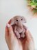Crochet Elephant Amigurumi Pattern