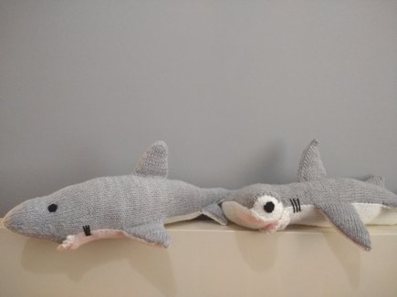 Hammerhead shark #5