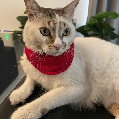 Small Pet Bandana - knitting pattern