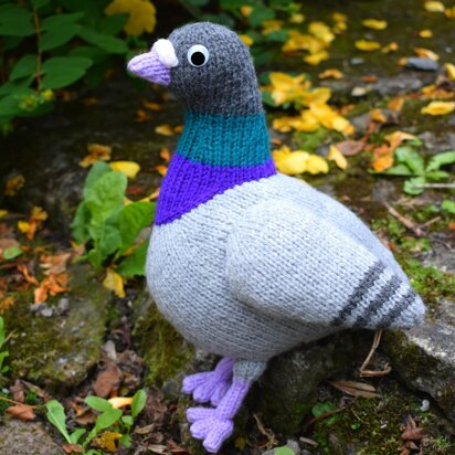 Paul the Pigeon - knitting pattern