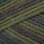 Maine Woods (9839)