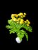 Crochet Tansy flowers