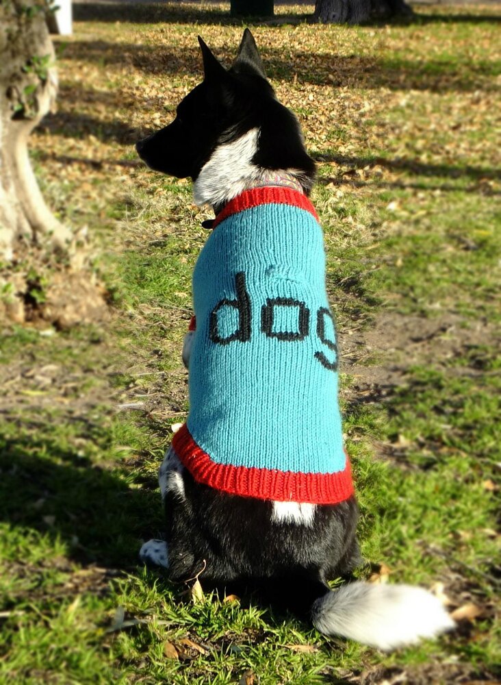 Top down dog outlet sweater