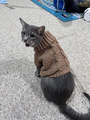 Easy cable pet sweater