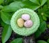 Garden Birds - Mini Easter Egg Nests
