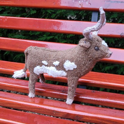 Cute Cattle - knitting pattern