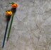 Petrified Pumpkin Pencil Puppet / Pencil Topper