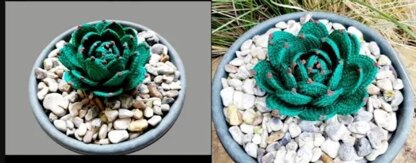 Crochet Hen & Chick's succulent plant