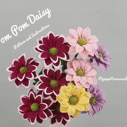 Pom Pom Daisy