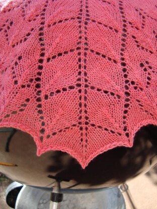 Wild Ivy Shawl