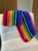 13th Doctor Who Rainbow Scarf Small