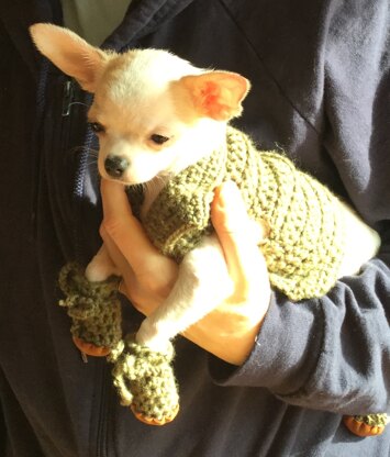 Puppy sweater and boots