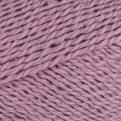 Wisteria (2822)