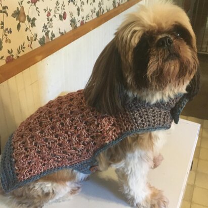 Walk The Dog Sweater