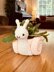 Snail Plant Holder