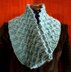 Plessis (cowl)