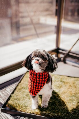 Pit Stop Bandana
