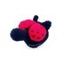 Ladybug Cat