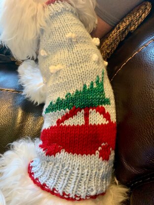 Christmas Time Dog Sweater