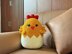 Chicken Egg Pillow