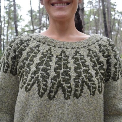 Alocasia Pullover